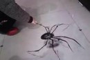 Изображение Астрахань