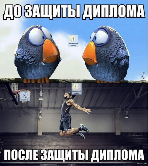 Академия, ООО