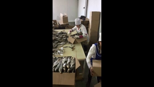 АстРыба Астрахань