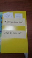 English for U Астрахань