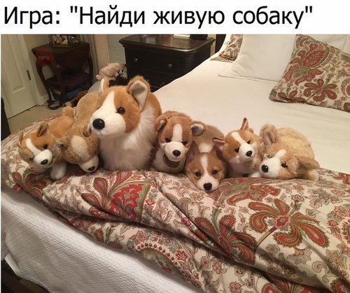  Эврика