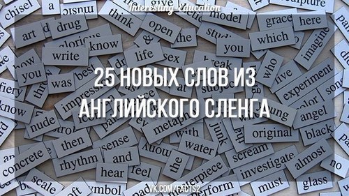 Focus Lingua