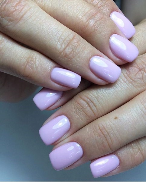 Lash aсademy L. Sk