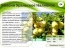 Для Сияние